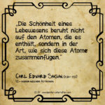 Die-Schoenheit-eines-Lebewesens-Atome-leichter_unterrichten_com