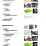 2019_Physik_Magnetismus_Anwendung_Kopiervorlage
