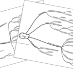 2020_Chemie_Chemische_Bindung_Metallbindung_Legierung