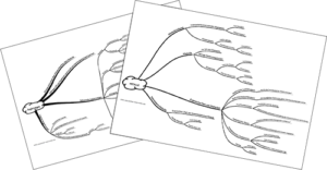 Mindmaps Metallbindung und Legierungen